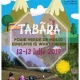 Tabăra de vară pentru copii ‘’Foaie verde de molid, educatie is what I need’’